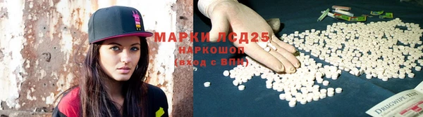 spice Аркадак