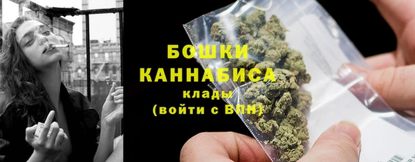 spice Аркадак