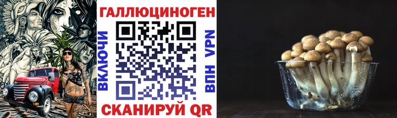 Псилоцибиновые грибы Psilocybine cubensis Семикаракорск
