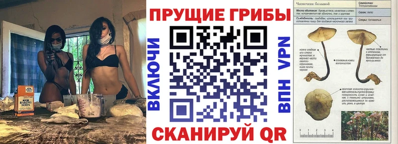 Галлюциногенные грибы прущие грибы  Семикаракорск 